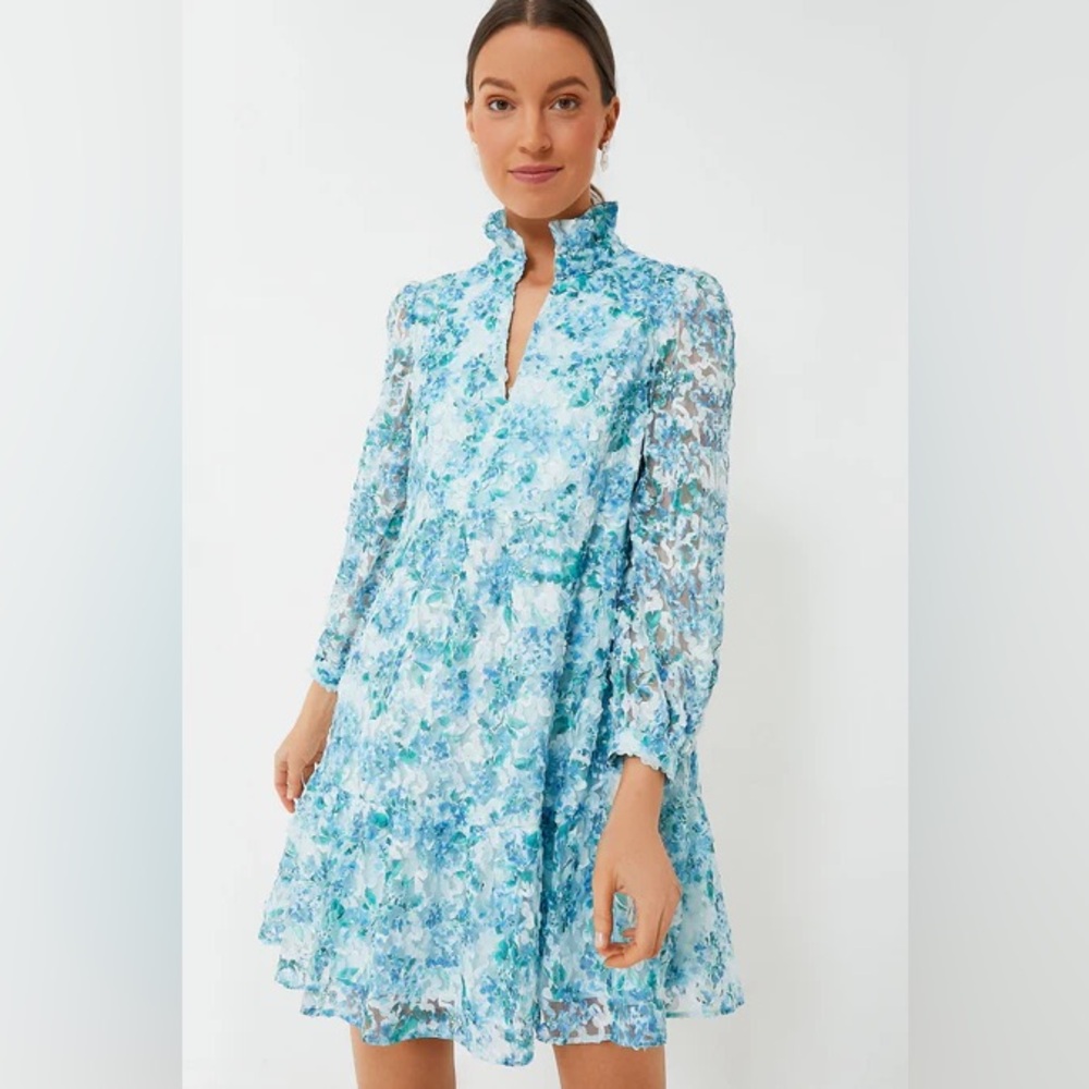 Tuckernuck Water's Edge Hydrangea Organza Palmerston Mini Dress Long Sleeve M - Picture 2 of 15